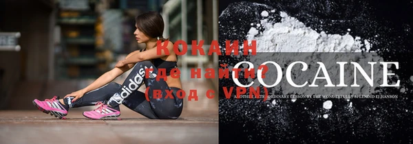 ГАЛЛЮЦИНОГЕННЫЕ ГРИБЫ Ладушкин