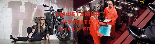 ГАЛЛЮЦИНОГЕННЫЕ ГРИБЫ Ладушкин