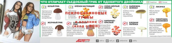 шишки Лагань