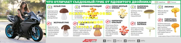 шишки Лагань