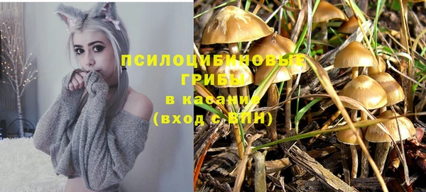 шишки Лагань