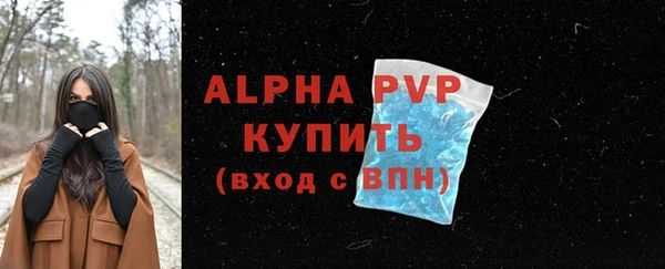 ГАЛЛЮЦИНОГЕННЫЕ ГРИБЫ Ладушкин