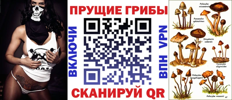 MEGA ссылка  Тарко-Сале  Псилоцибиновые грибы мицелий 