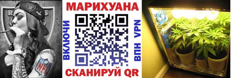Канабис Ganja  Тарко-Сале 