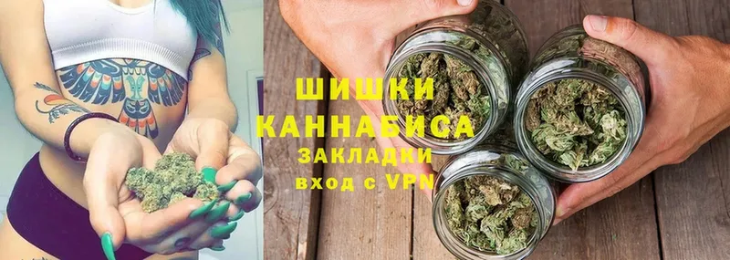 Канабис OG Kush  Тарко-Сале 